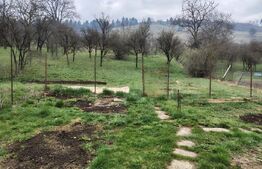 Casă individuală 4 camere, 91 mp, teren 1376 mp, in Suceagu