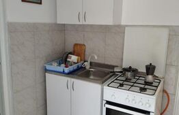 Casă individuală 4 camere, 91 mp, teren 1376 mp, in Suceagu