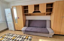 Garsoniera 22 mp, centrala proprie, ideala investitie, Iris