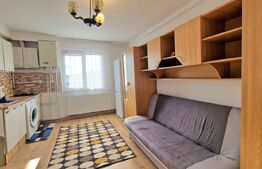 Garsoniera 22 mp, centrala proprie, ideala investitie, Iris