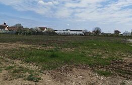 Teren intravilan cu proiect de casa aprobat, in Mihai Viteazu