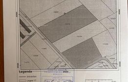 Teren intravilan de vanzare, 15.000 mp - Brasov