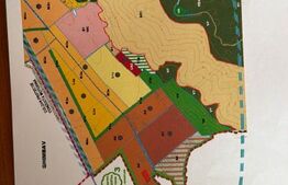 Teren intravilan de vanzare, 15.000 mp - Brasov