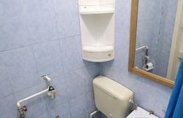 Garsoniera de inchiriat, 25 mp, zona Facultatea de Litere