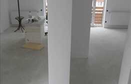 Casa de vanzare, 125 mp utili, teren 205 mp, P+E1, front stradal 13 ml!