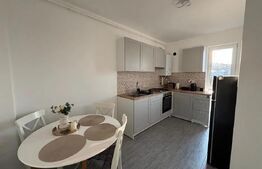 Apartament 1 cameră, 39mp, zona Teilor