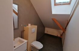 Spatiu de birou la casa de inchiriat, 504 mp, Gruia/7 strazi