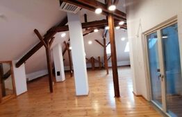 Spatiu de birou la casa de inchiriat, 504 mp, Gruia/7 strazi