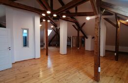 Spatiu de birou la casa de inchiriat, 504 mp, Gruia/7 strazi