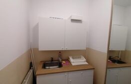 Spatiu de birou la casa de inchiriat, 504 mp, Gruia/7 strazi
