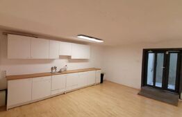 Spatiu de birou la casa de inchiriat, 504 mp, Gruia/7 strazi