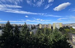 Apartament 2 camere, etaj intermediar, zona Iulius Mall!