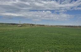 Teren cu potential industrial Luna de Jos, Dabaca