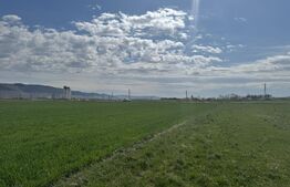 Teren cu potential industrial Luna de Jos, Dabaca