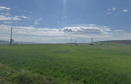 Teren cu potential industrial Luna de Jos, Dabaca