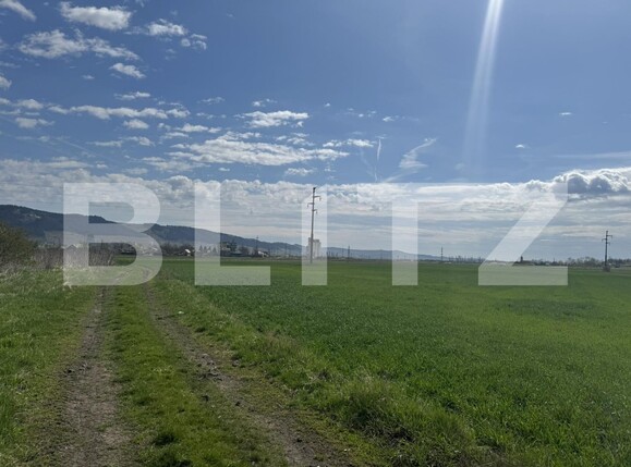 Teren de vânzare Luna de Jos - 192341TV | BLITZ Cluj-Napoca | Poza9