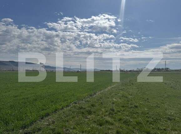 Teren de vânzare Luna de Jos - 192341TV | BLITZ Cluj-Napoca | Poza11