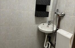 Garsonieră de vanzare, 11 mp, investiție ideală, chiriași existenți - Iris