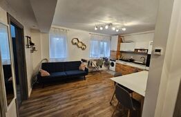 Apartament cu 3 camere, 51 mp, zona Teilor