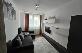 Apartament cu 3 camere, 51 mp, zona Teilor