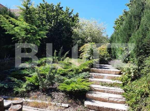 Spațiu birouri de închiriat Andrei Mureşanu - 192368SIB | BLITZ Cluj-Napoca | Poza6