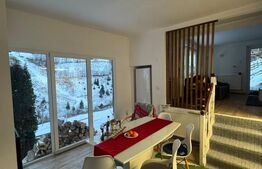 Casa de vacanta, 140 mp, 5 camere, jacuzzi, sauna, Buscat Ski/Muntele Baisorii