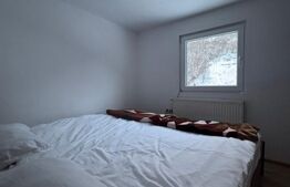 Casa de vacanta, 140 mp, 5 camere, jacuzzi, sauna, Buscat Ski/Muntele Baisorii