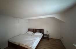 Casa de vacanta, 140 mp, 5 camere, jacuzzi, sauna, Buscat Ski/Muntele Baisorii