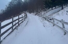 Casa de vacanta, 140 mp, 5 camere, jacuzzi, sauna, Buscat Ski/Muntele Baisorii