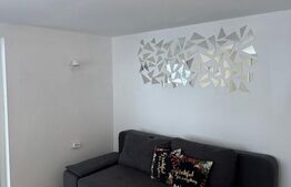 Casa de vacanta, 140 mp, 5 camere, jacuzzi, sauna, Buscat Ski/Muntele Baisorii