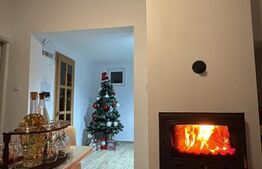 Casa de vacanta, 140 mp, 5 camere, jacuzzi, sauna, Buscat Ski/Muntele Baisorii