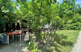 Casa individuala, 140 mp, curte, parcare, zona Eremia Grigorescu 