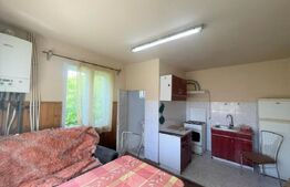 Casa individuala, 140 mp, curte, parcare, zona Eremia Grigorescu 