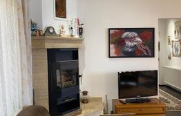 Vila individuala 6 camere, 1905 mp teren, in Stejeris langa Turda