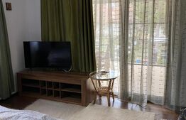 Vila individuala 6 camere, 1905 mp teren, in Stejeris langa Turda