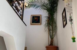 Vila individuala 6 camere, 1905 mp teren, in Stejeris langa Turda