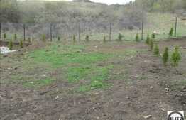 EXCLUSIVITATE! Casa cuplata, 120 mp utili, 350 mp teren in zona Polus Center!