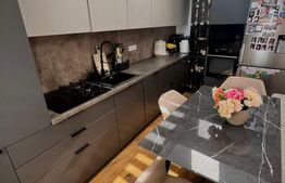 Penthouse pe 2 niveluri, 3 camere, 78 mp, terasa, zona Pod Ira