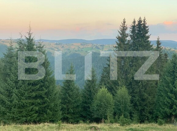 Teren de vânzare Mărişel - 192471TV | BLITZ Cluj-Napoca | Poza4