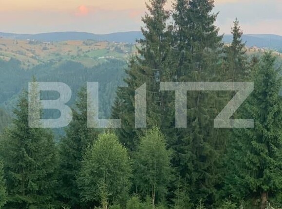 Teren de vânzare Mărişel - 192471TV | BLITZ Cluj-Napoca | Poza5