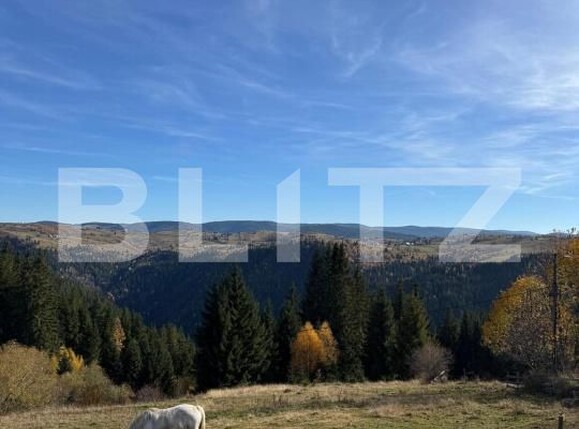 Teren de vânzare Mărişel - 192471TV | BLITZ Cluj-Napoca | Poza9