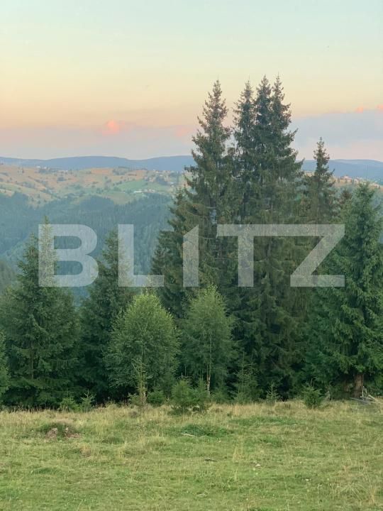 Teren de vânzare Mărişel - 192471TV | BLITZ Cluj-Napoca | Poza5
