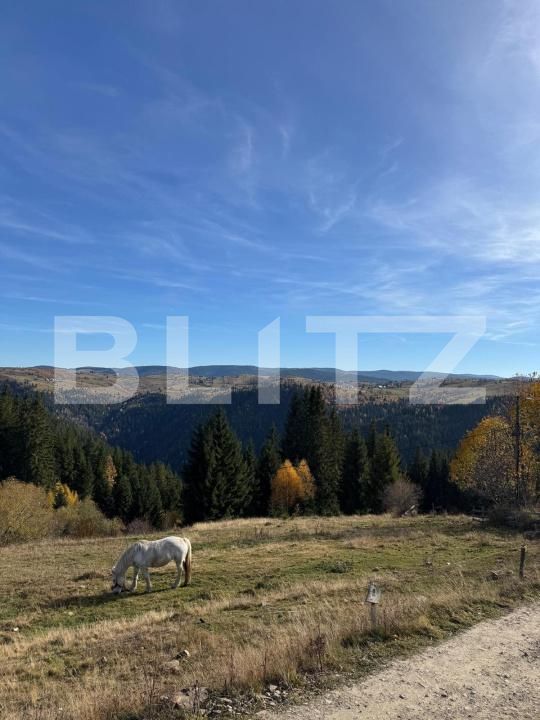 Teren de vânzare Mărişel - 192471TV | BLITZ Cluj-Napoca | Poza9