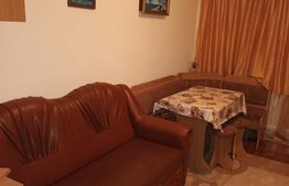 Garsiniera 22 mp - Fagaras