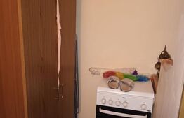 Garsiniera 22 mp - Fagaras