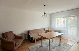 Apartament 2 camere decomandate,  52 mp , Zorilor, pet friendly