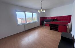 Casa de inchiriat, 7 camere, 230 mp + 415 mp teren, garaj - Gruia