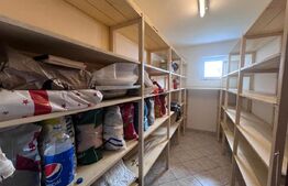 Casa de inchiriat, 7 camere, 230 mp + 415 mp teren, garaj - Gruia