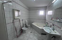 Casa de inchiriat, 7 camere, 230 mp + 415 mp teren, garaj - Gruia