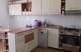 Casa individuala de vanzare cu 300 mp utili, 600 mp teren! Acces facil!